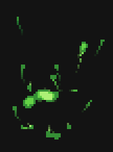 FastFX 9